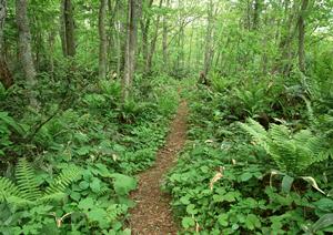 アルコール相談なら北九州の精神科に