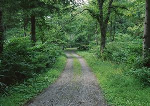 2025年最新版：ホテル業界の成功を左右する徹果的な分析手法と戦略