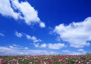 カウンセリング重視のメンタルクリニック